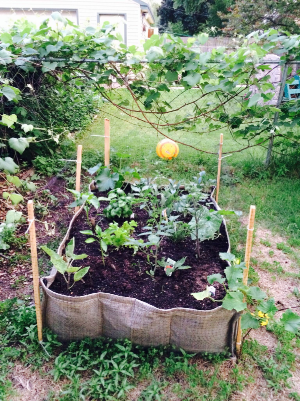 Habitat family gets first Garden-in-a-Box