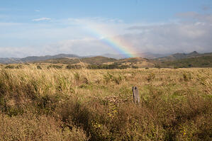 Costa Rica Rainbow