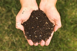 12 Tips for Backyard Composting