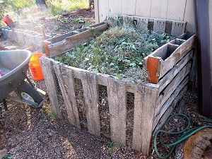 composting tips