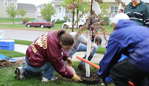 Master Your Garden with the Master Gardeners