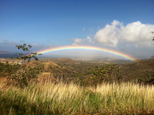 rainbow