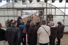 Showing off one of the greenhouses