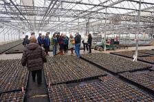 Master Gardeners get tour of Bailey's 22 acres of greenhouses Master Gardeners get tour of Bailey's 22 acres of greenhouses