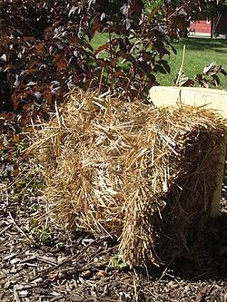 Bales of straw for winter mulch can be picked up at garden retailers