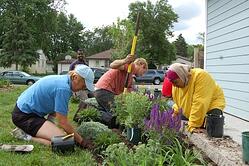 Landscaping Volunteers