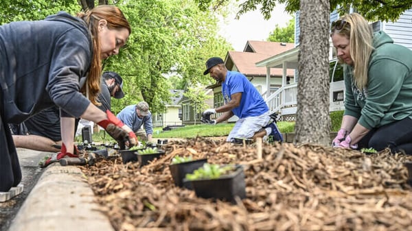 Volunteers planting during Jordan Week of Kindness.