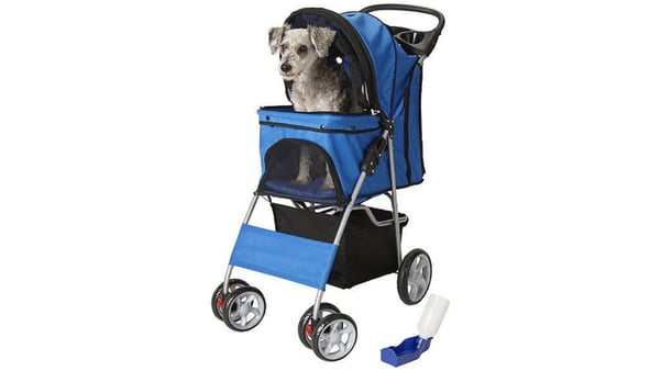 A small gray dog sitting in a blue pet stroller with black accents and a black basket beneath, with a portable hydration station on the ground next to it.