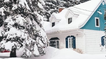 House and large pine tree covered in snow