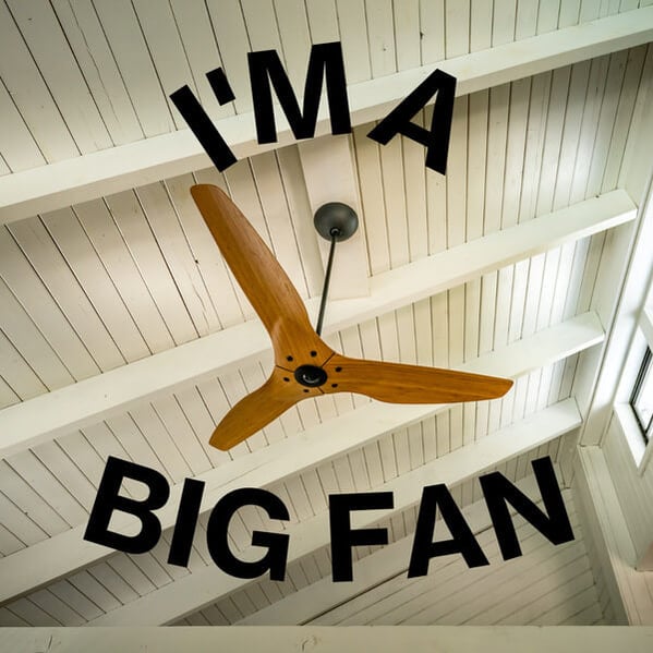 A meme "I'm a big fan" showing a ceiling fan.