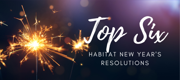 Top 6 Habitat New Years Resolutions