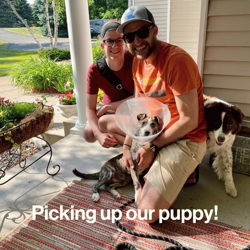 Two men hold a dog in a cone with another dog standing behind them.