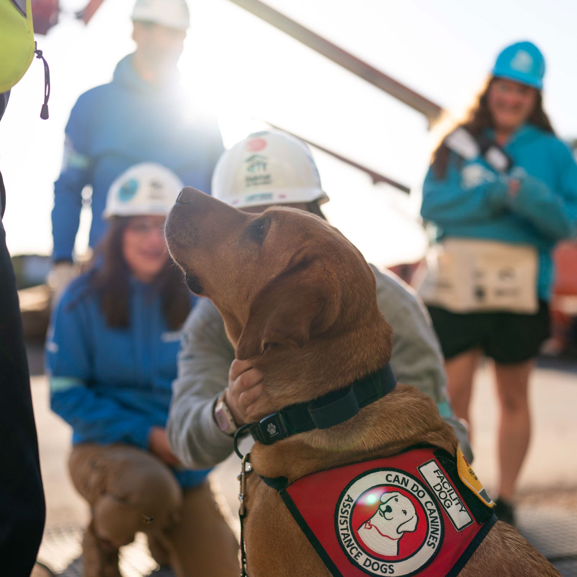 CWP service dog