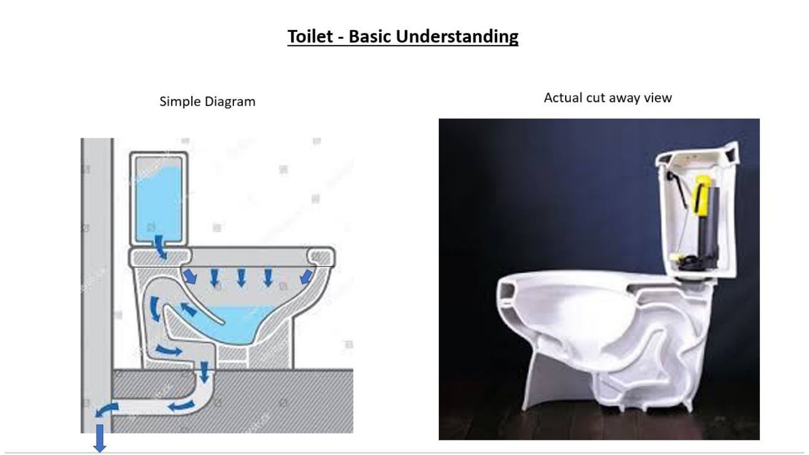 Toilet Basics