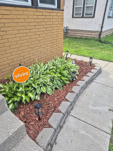 New mulch and concrete edging.
