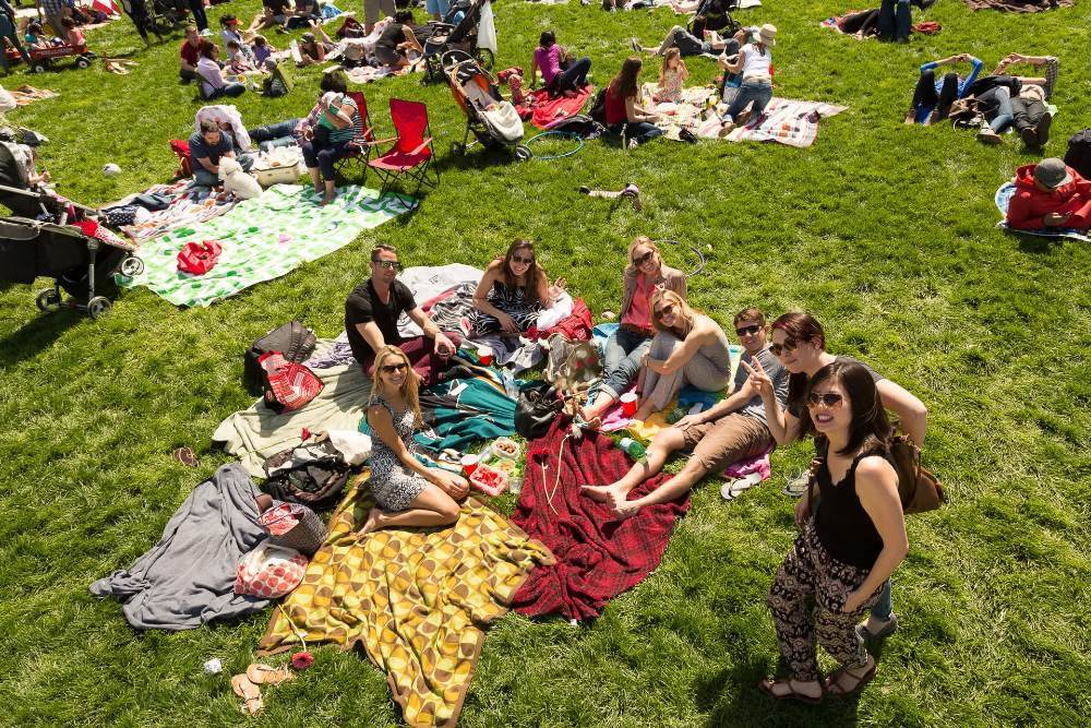 Group of picnickers on lawn