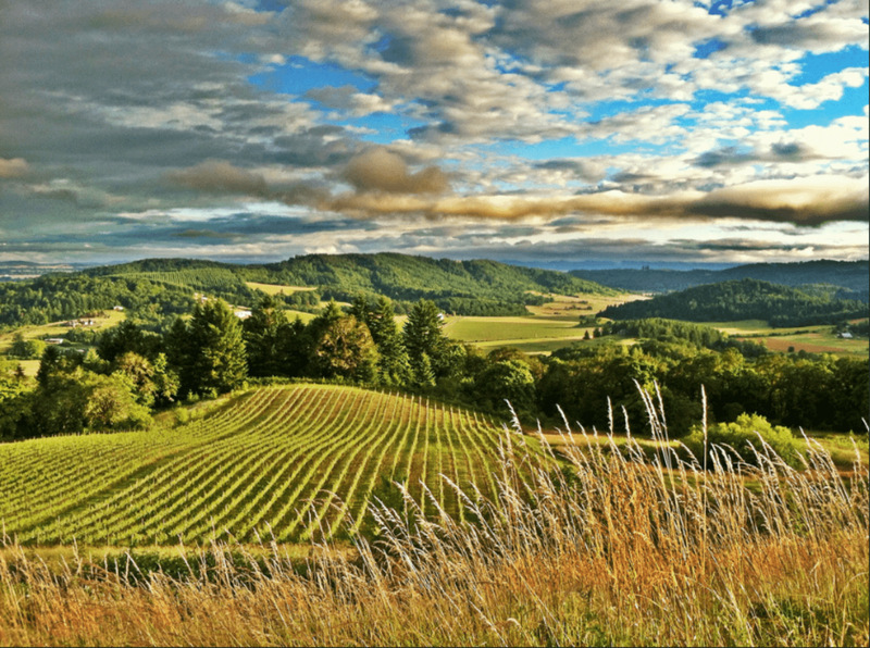 A landscape view of Willamette Valley.