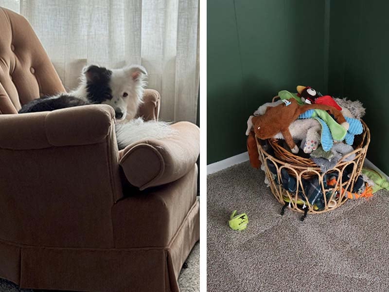 Kona and her toys