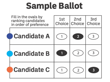 Ranked Choice Voting ballot example
