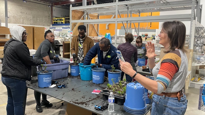 Homeowners plant hydrangeas at a spring workshop.