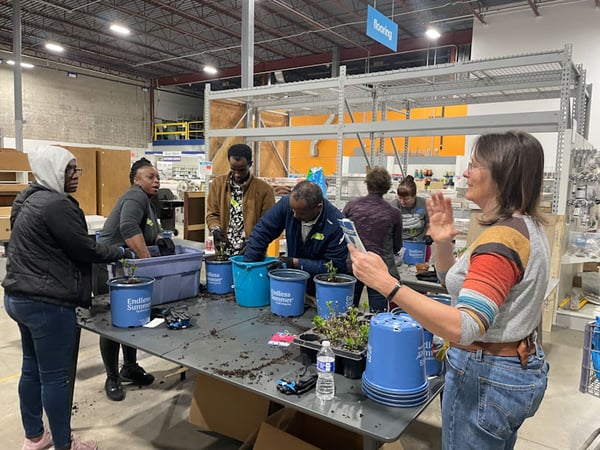 Homeowners planting hydrangeas at a spring workshop.