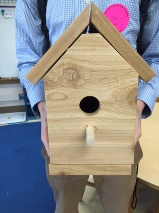 bird_houses