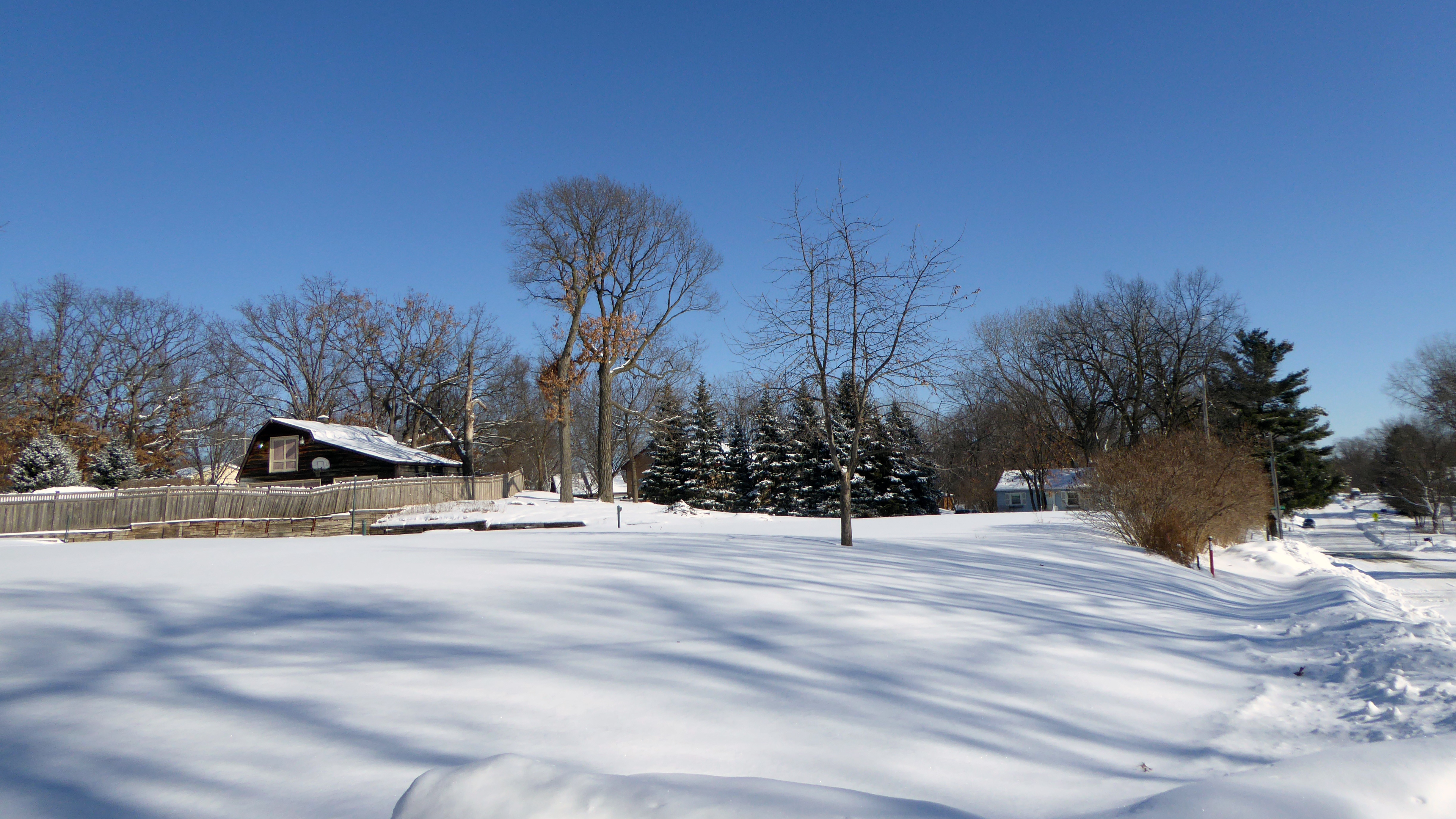 Yard property  in winter/spring 2018