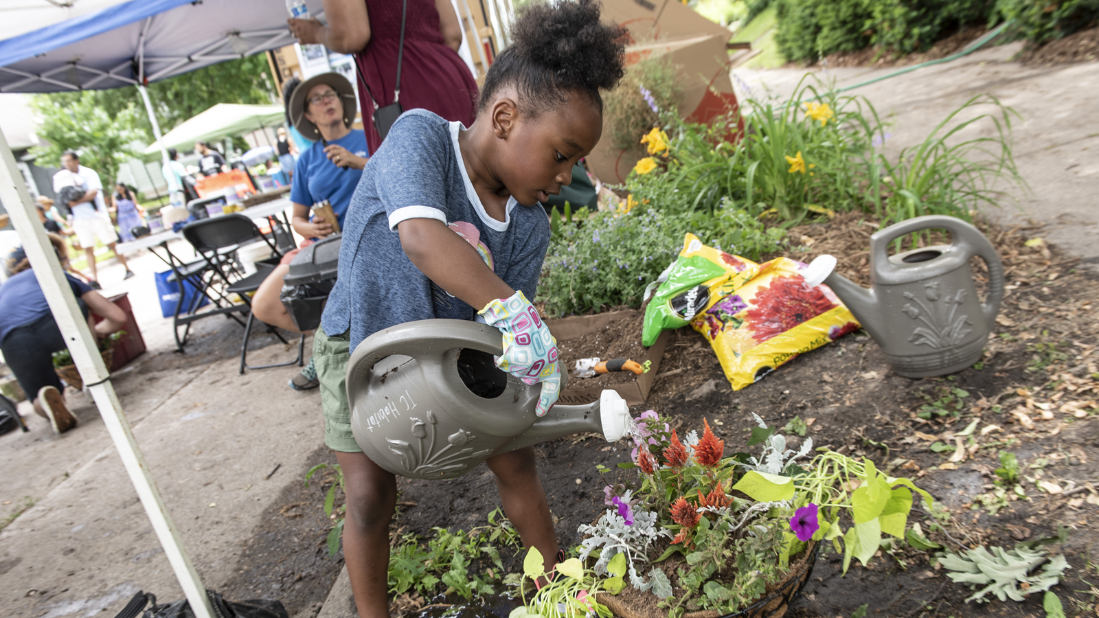 block planting and girl watering plants