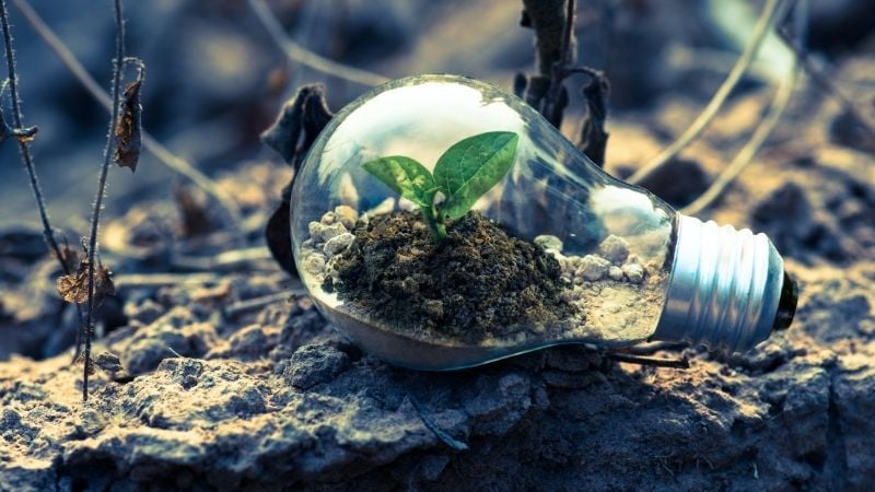 Lightbulb on the dirt with dirt and a small plant inside of it.