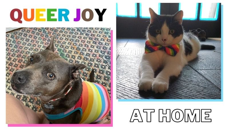 Staff Stories: Queer Joy at Home